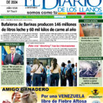 Edición 12/11/24