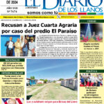 EDICIÓN 19/11/24